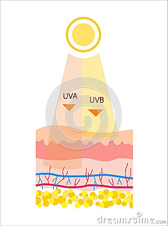 Flat Vector illustration of UVB and UVA radiation Vector Illustration
